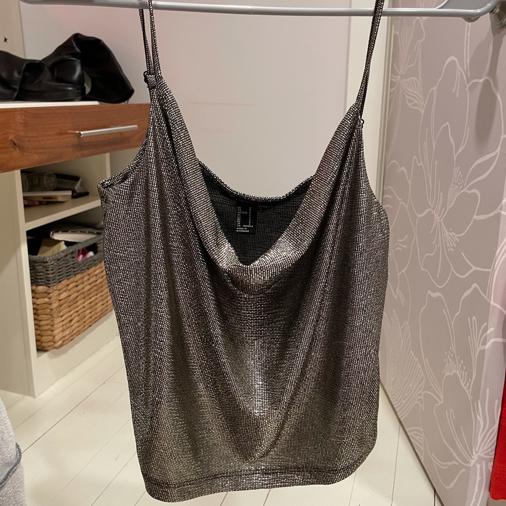 Shimmery F21 Swoop Top
